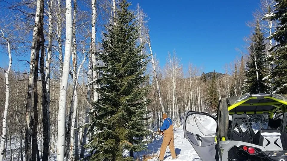 Slide of Bulldog Maintenance