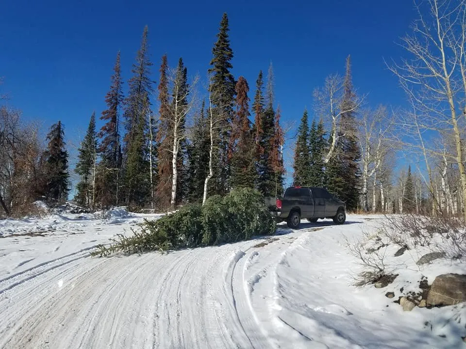 Slide of Bulldog Maintenance