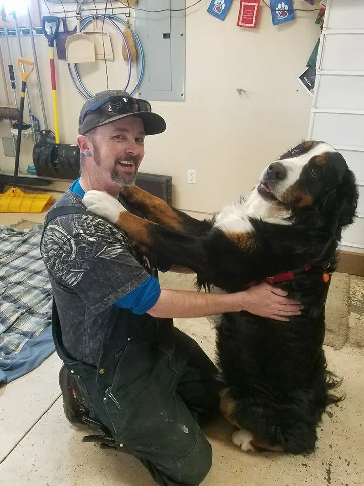 Slide of Bulldog Maintenance