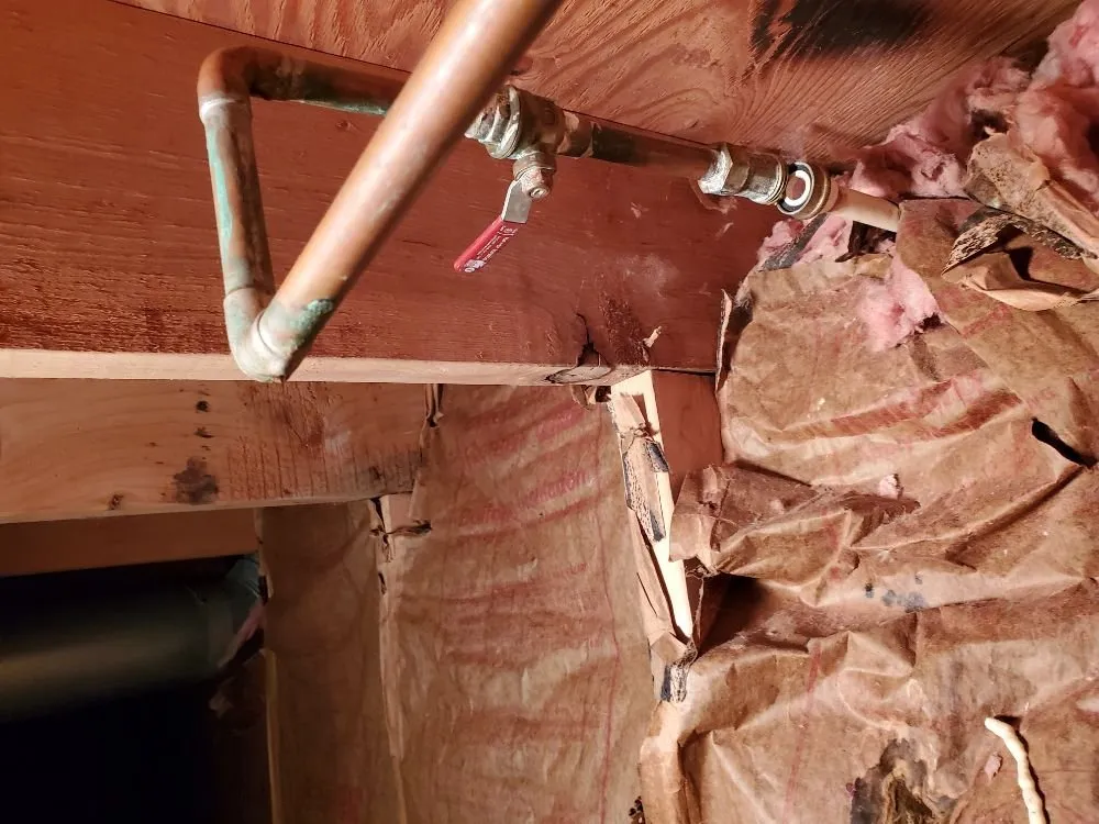 Slide of Bulldog Mechanical