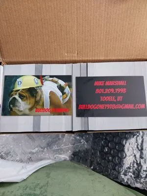 Bulldog Plumbing and Handy Service