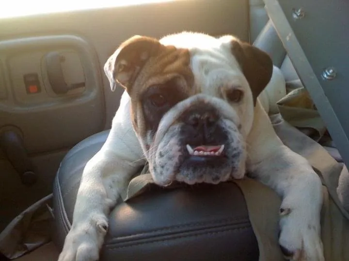 Emergency leak detection in Pembroke, MA by Bulldog Plumbing and Heating