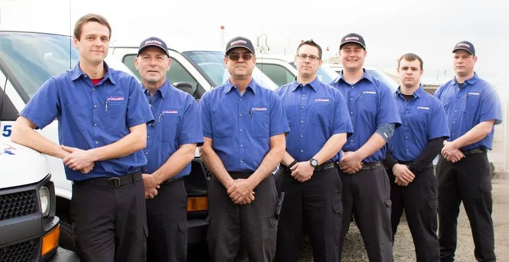 Slide of Bulldog Rooter