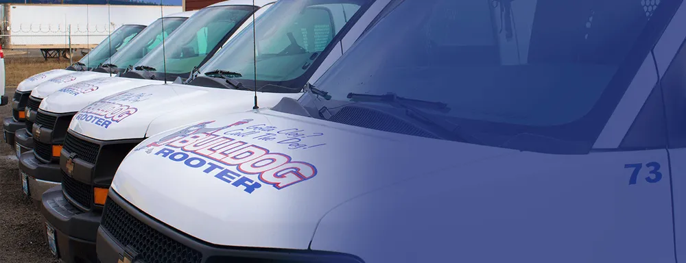 Slide of Bulldog Rooter