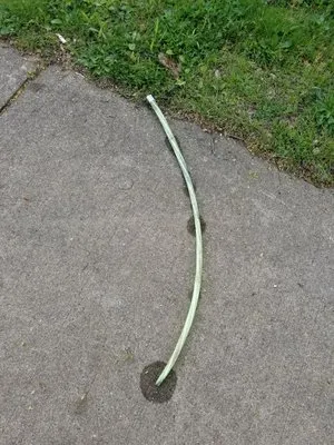 Bulldog Sewer Cleaning