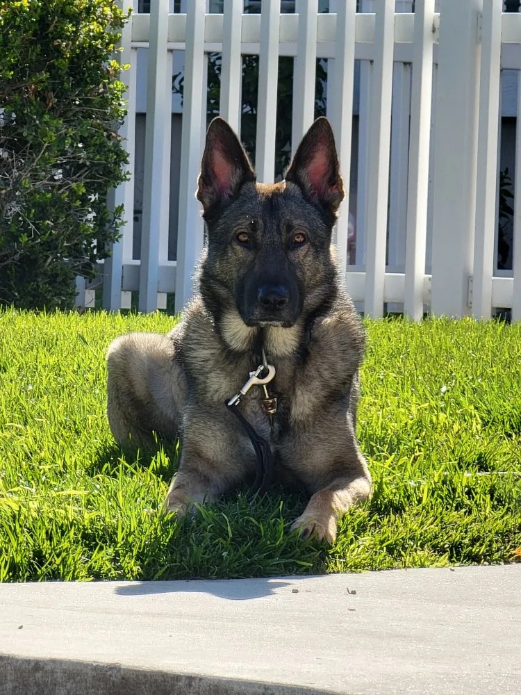 Slide of Bullet Plumbing