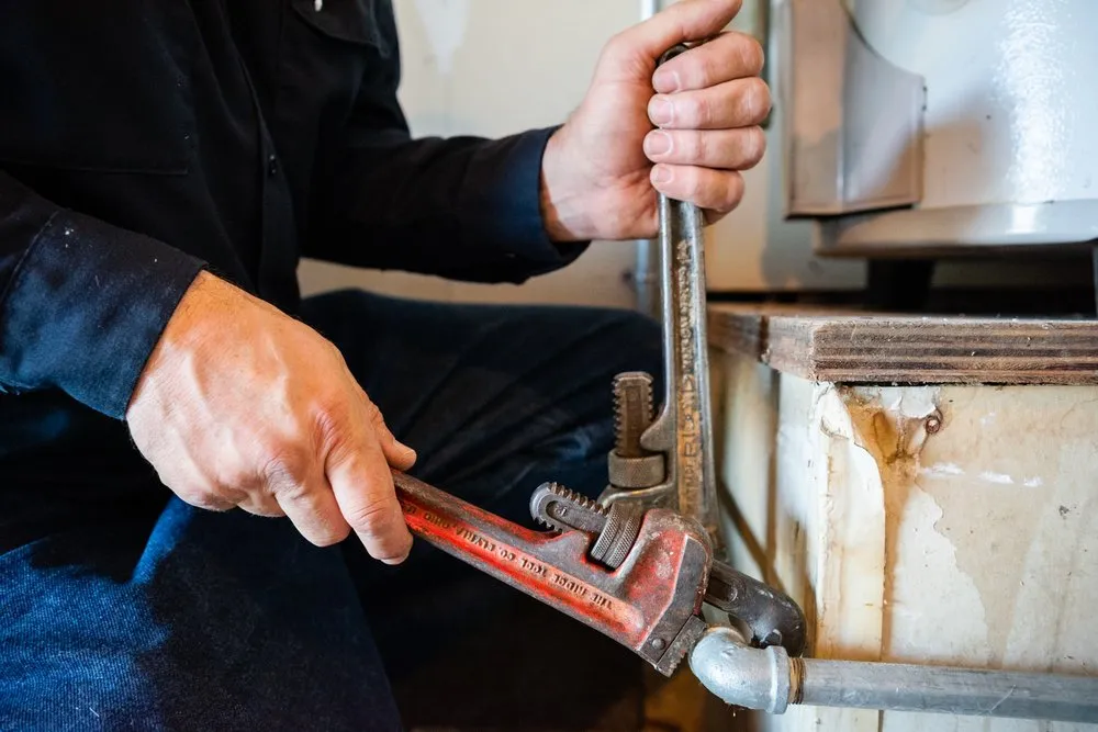 Slide of Bullitt Rooter