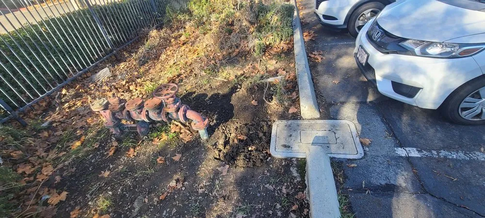 Slide of Bullitt Rooter