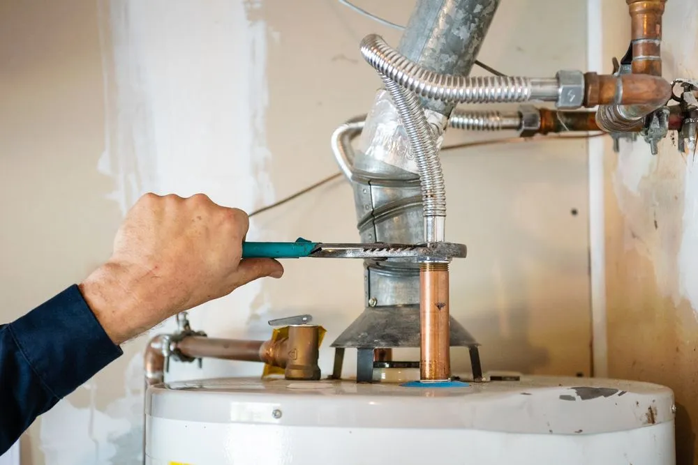 Slide of Bullitt Rooter