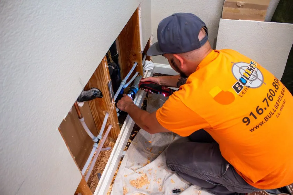 Slide of Bullseye Leak Detection: Central Valley