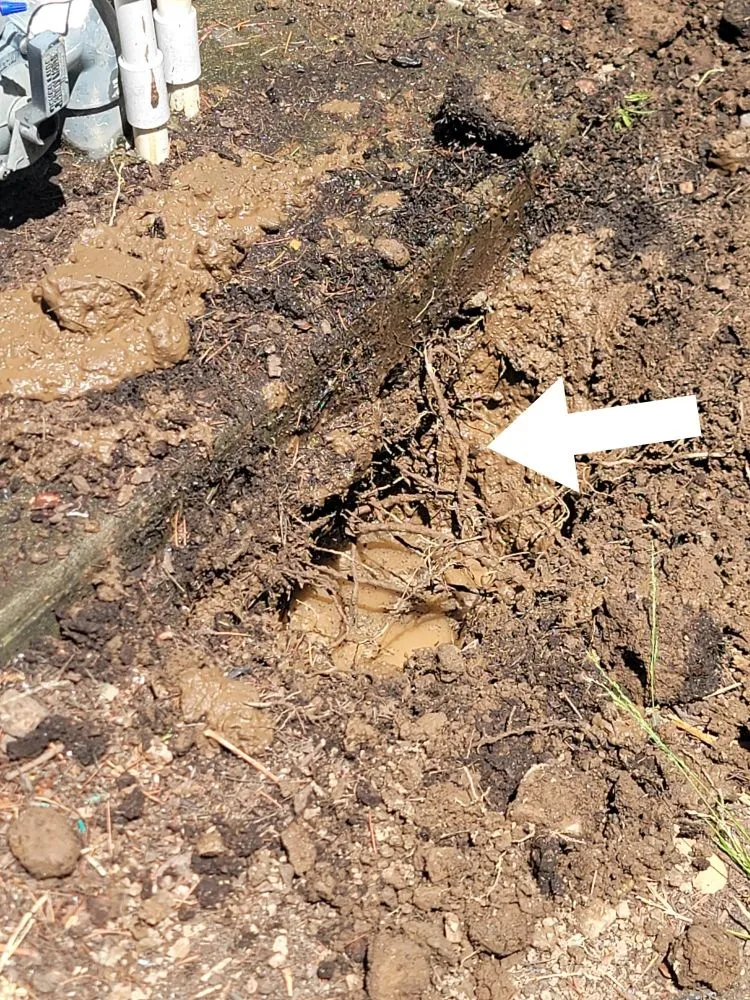 Slide of Bullseye Leak Detection