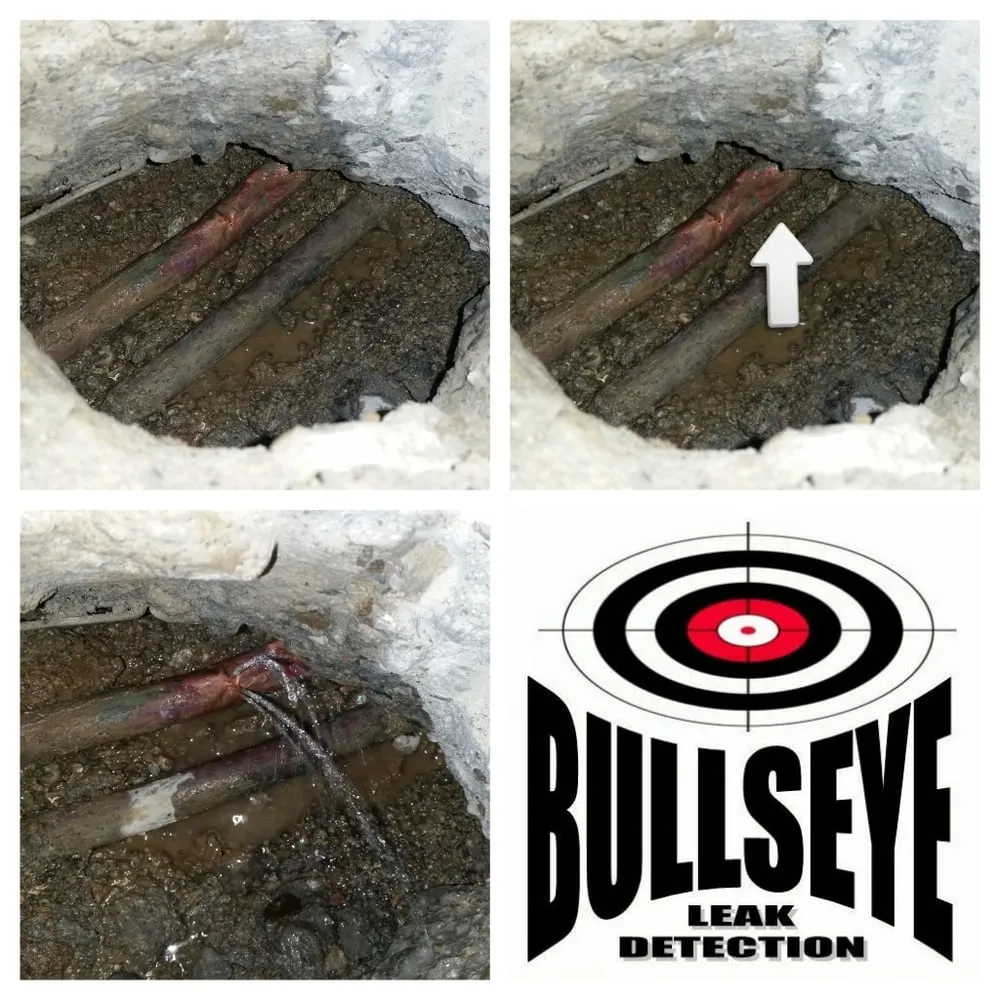Slide of Bullseye Leak Detection