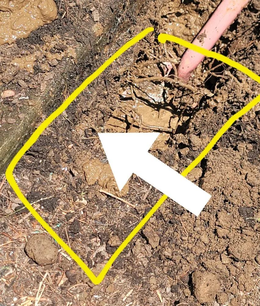 Slide of Bullseye Leak Detection