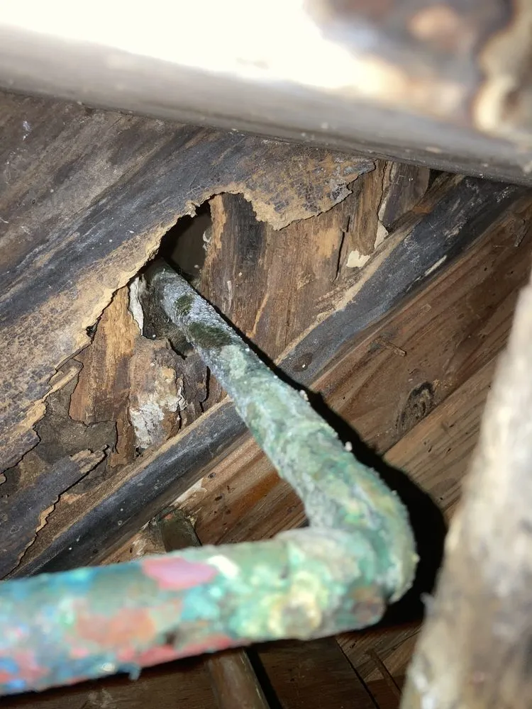 Slide of Bullseye Plumbing