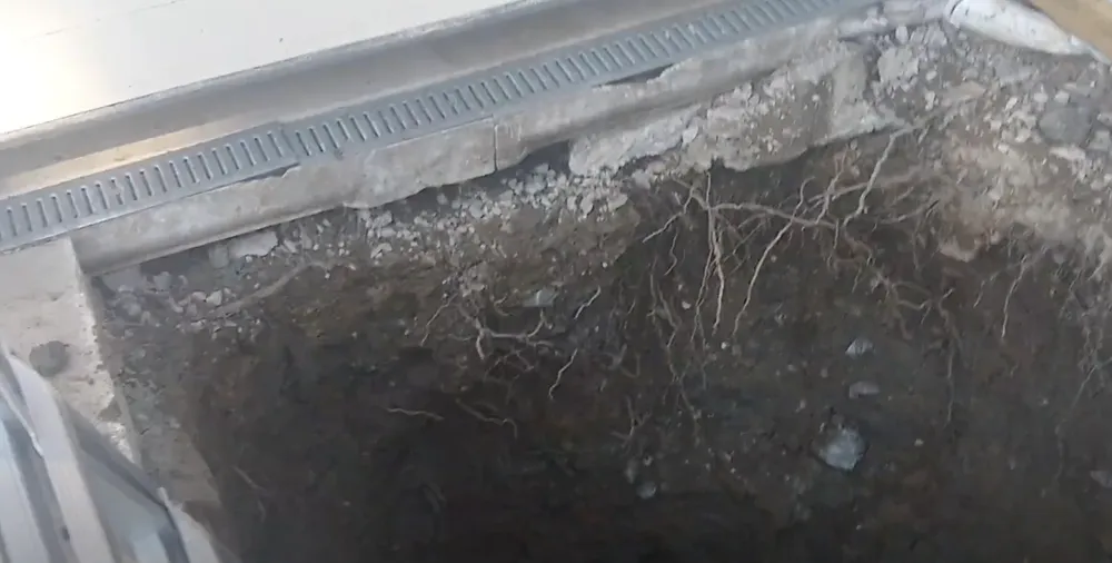 Slide of Bullseye Plumbing