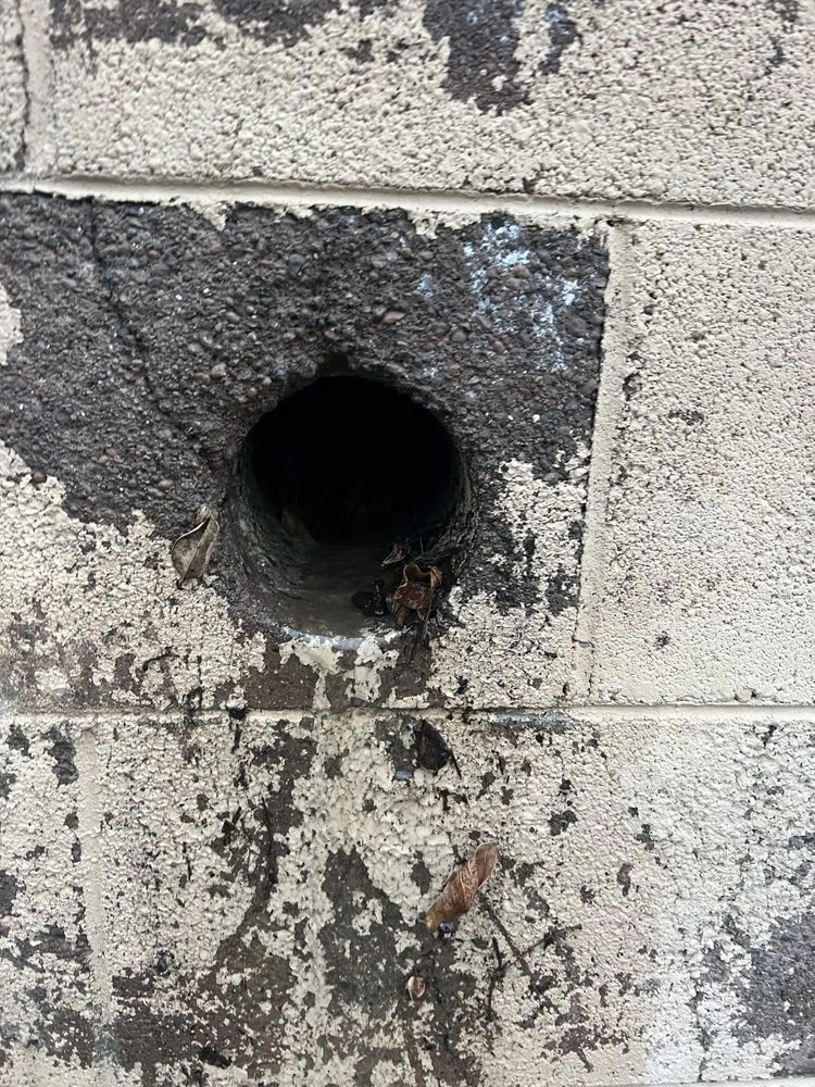 Slide of Bullseye Sewer and Leak