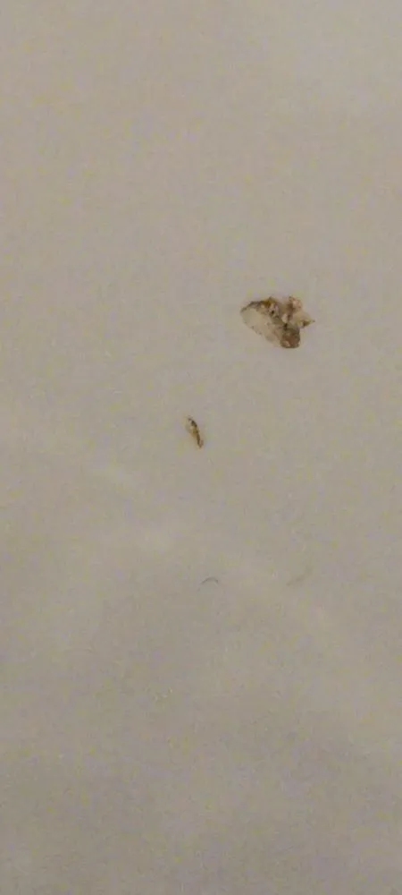 Slide of Bullthread Plumbing