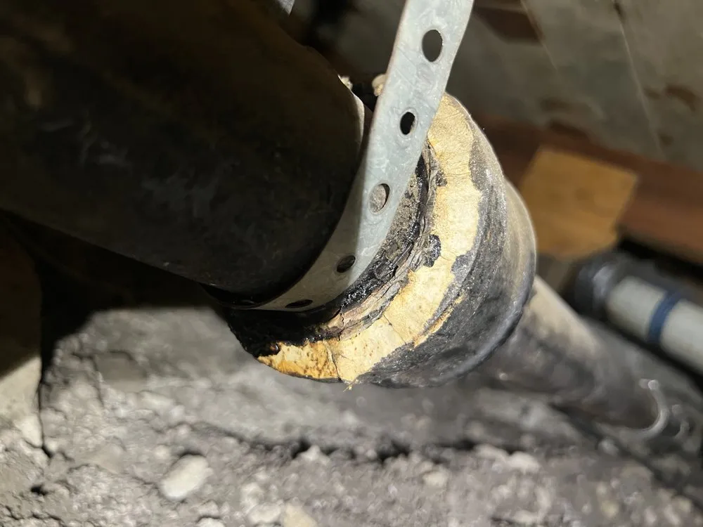 Slide of Bunnies Plumbing & Trenchless Technology