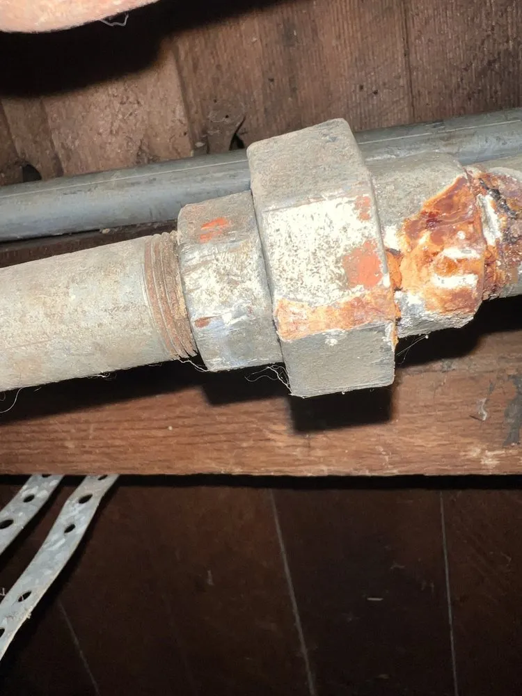 Slide of Bunnies Plumbing & Trenchless Technology