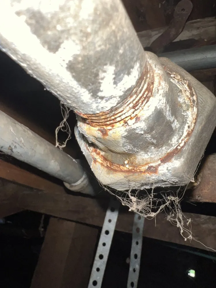 Slide of Bunnies Plumbing & Trenchless Technology