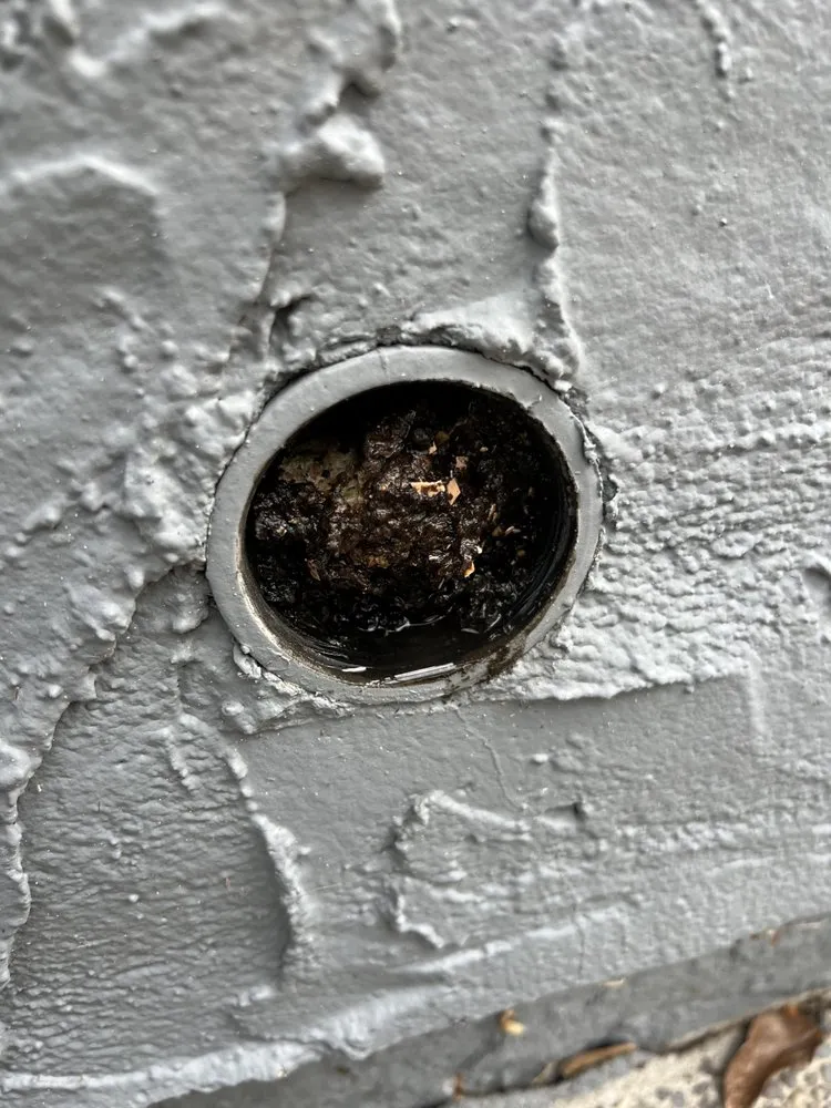 Professional leak detection experts serving Morgan Hill, CA - Bunnies Plumbing & Trenchless Technology