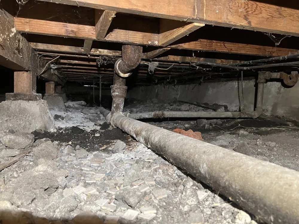 Professional pipe repair experts serving Morgan Hill, CA - Bunnies Plumbing & Trenchless Technology