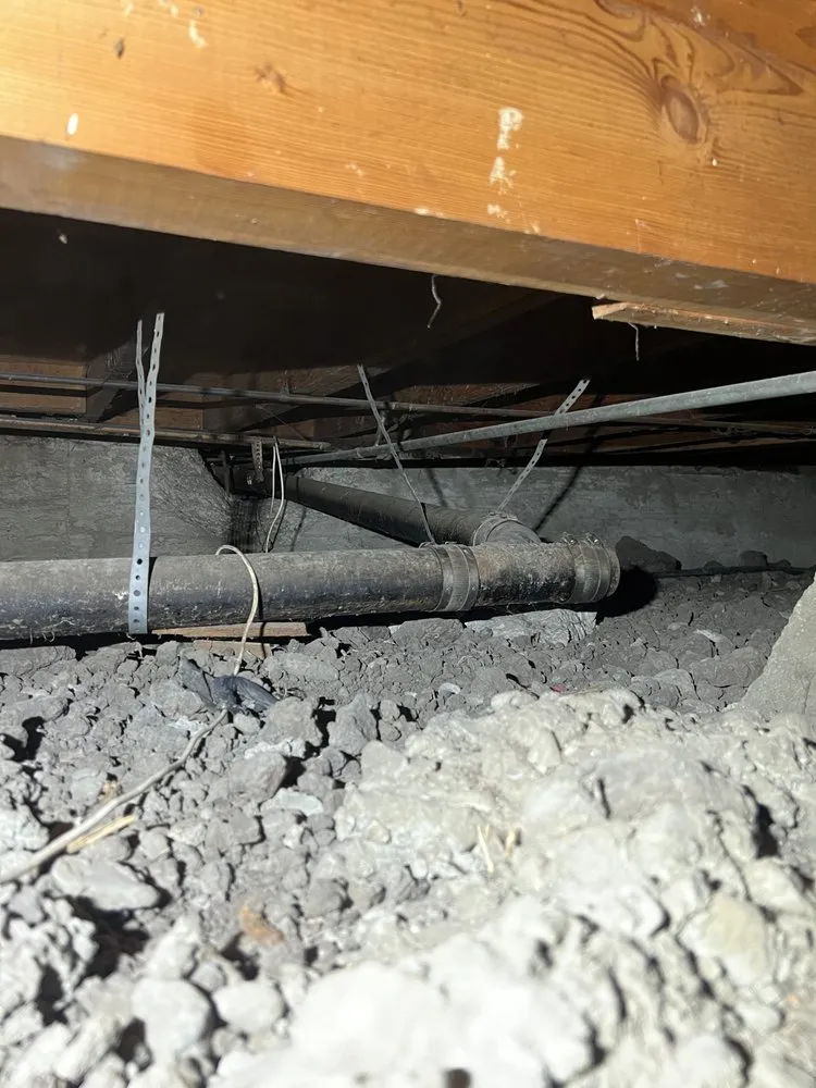 Affordable pipe repair in Morgan Hill, CA by Bunnies Plumbing & Trenchless Technology