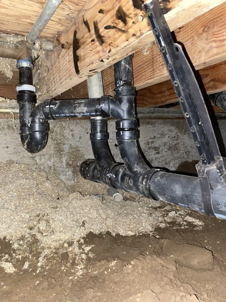 Slide of Bunnies Plumbing & Trenchless Technology