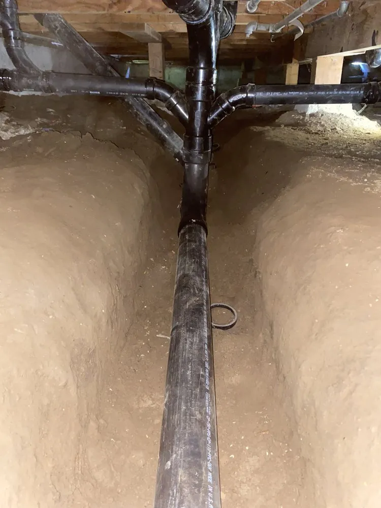 Slide of Bunnies Plumbing & Trenchless Technology