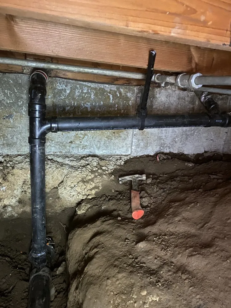 Slide of Bunnies Plumbing & Trenchless Technology