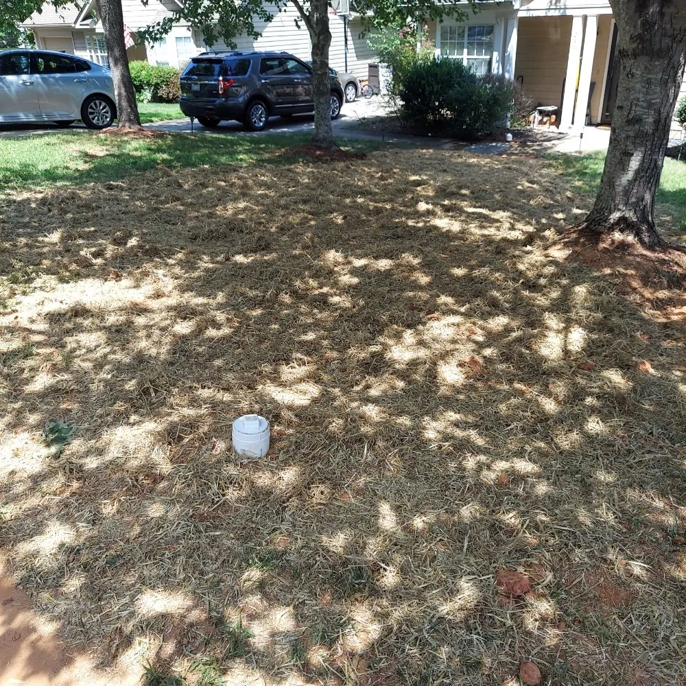 Slide of Burch's Drain Cleaning Services