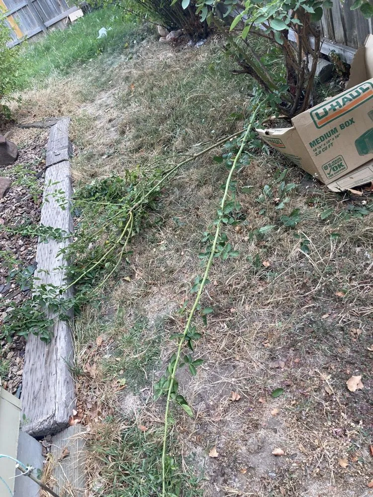 Slide of Burke Plumbing