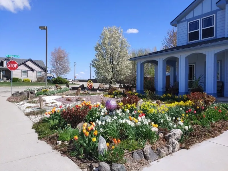 Slide of Bush's Lawn Sprinkler