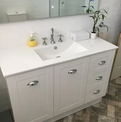 Busse Woods Plumbing Logo