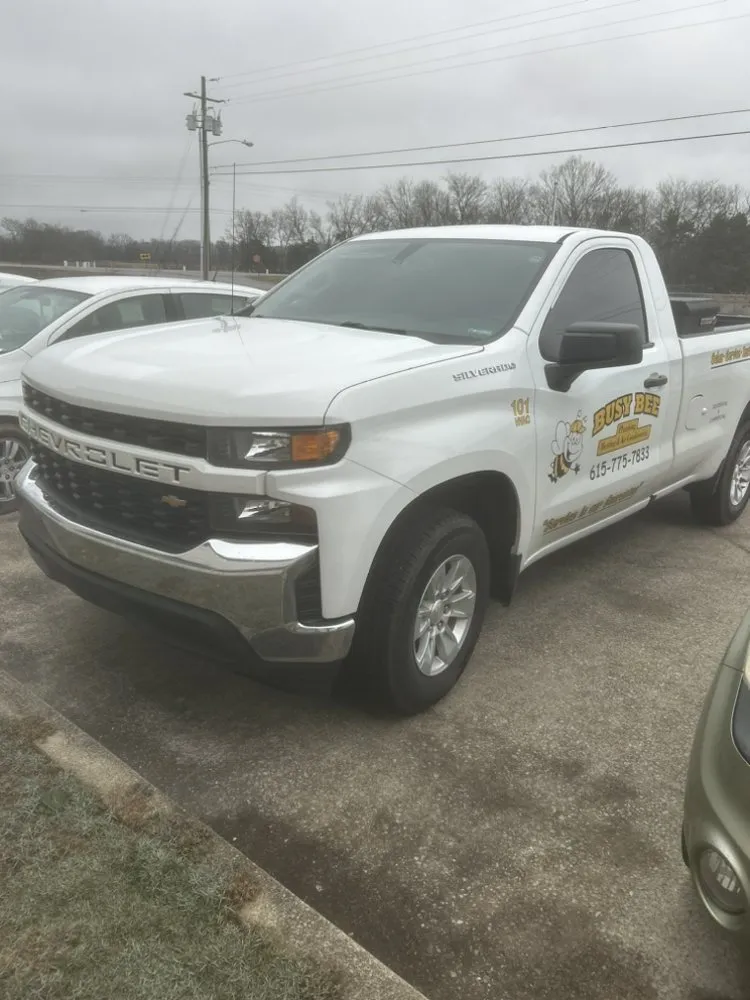 Affordable drain cleaning service in Nashville, TN - Busy Bee Plumbing, Heating, & Air Conditioning