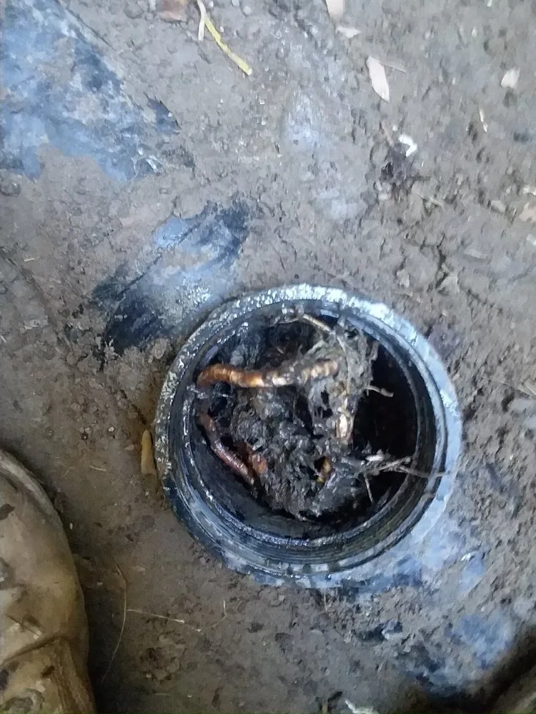 Slide of Busy Bee Rooter And Plumbing