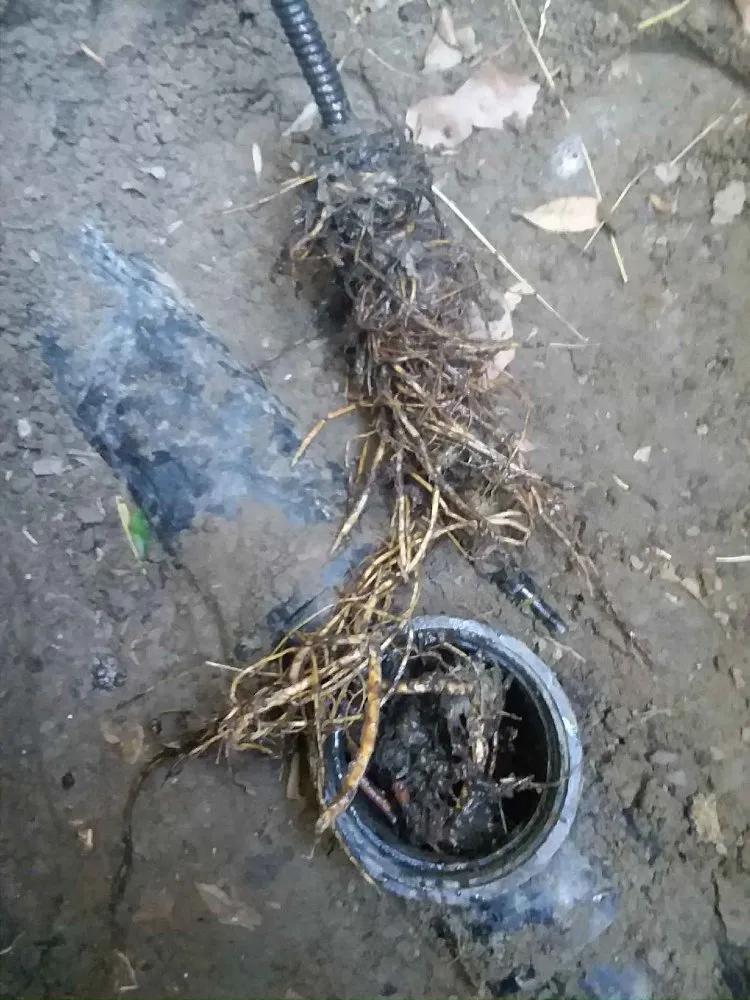 Slide of Busy Bee Rooter And Plumbing