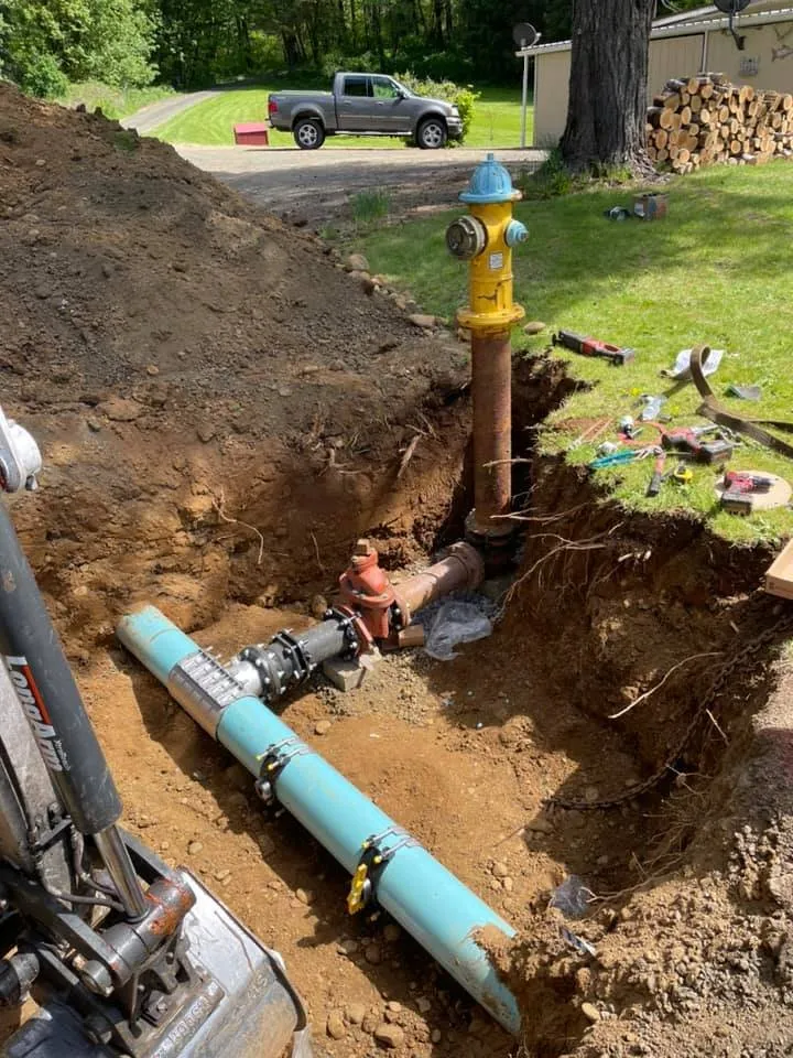 Slide of Butcher and Sons