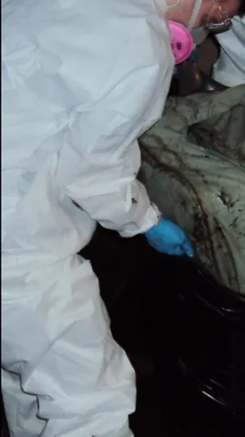 Slide of Butler Restoration