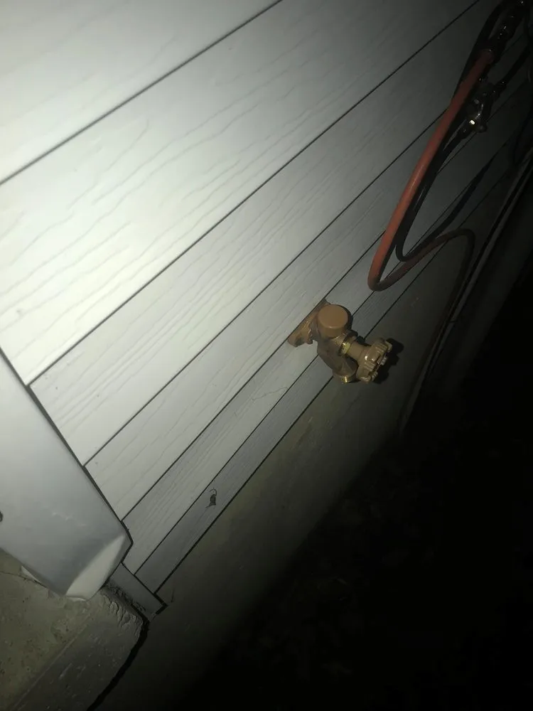 Slide of Butler's Rooter