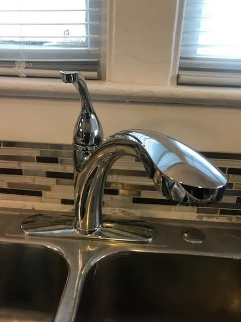 Slide of Butler's Rooter