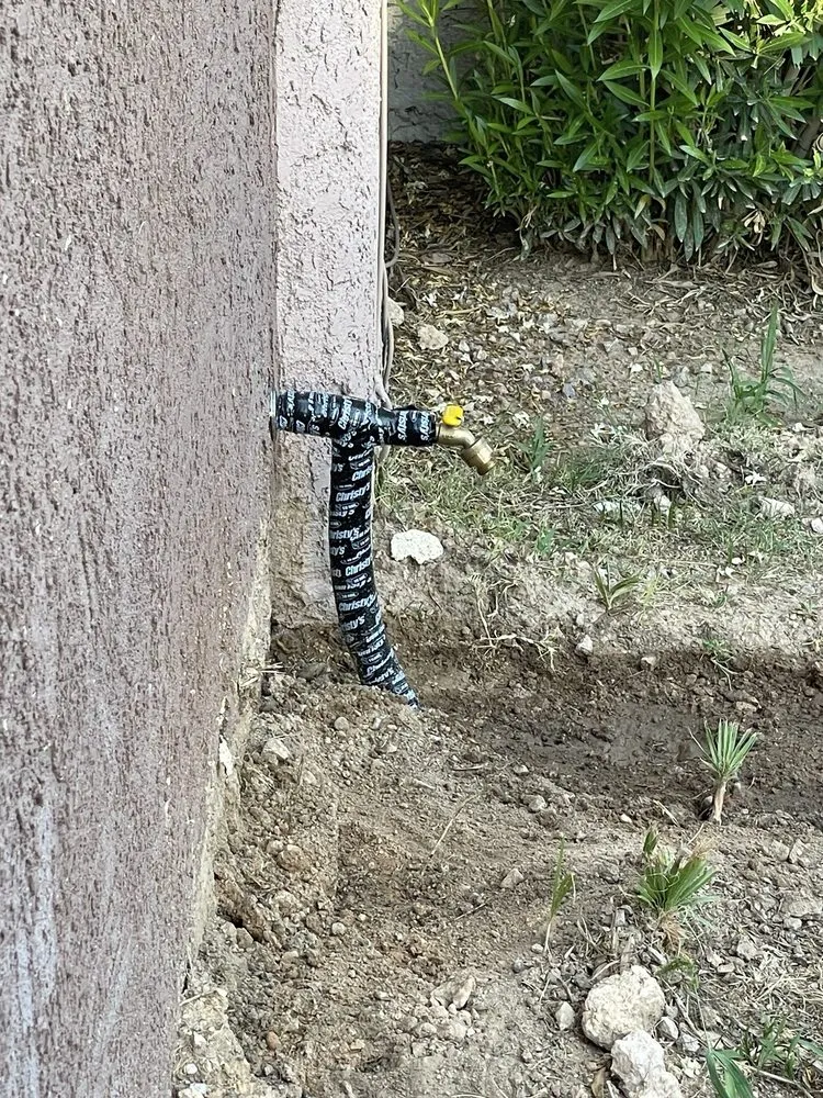 Slide of Butter Plumbing