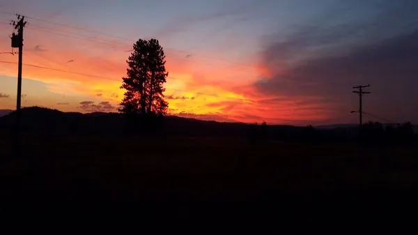 Butterfly Plumbing and Pump