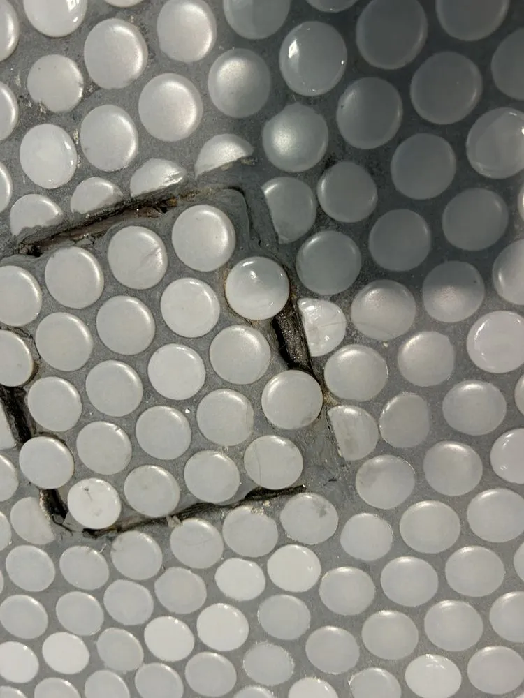 Slide of Buzzard Builds