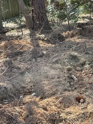 Bynum & Sons Plumbing