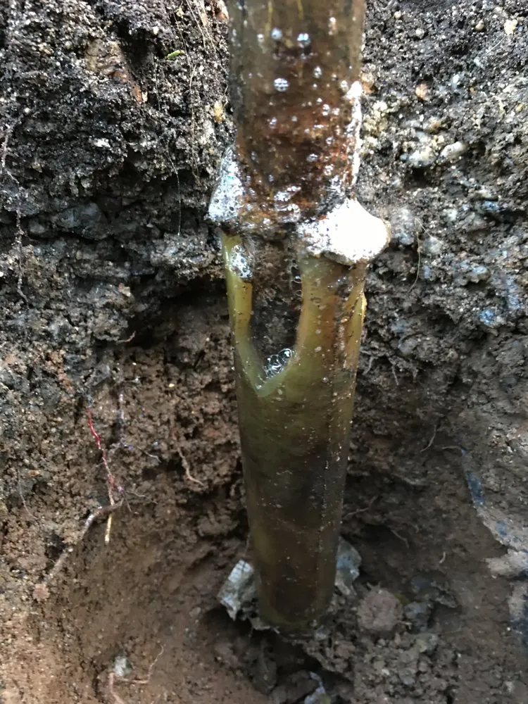 Slide of C A Plumbing