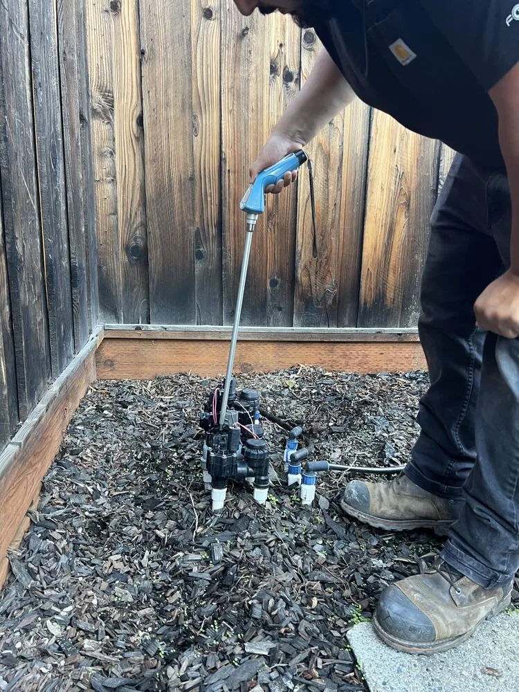 Slide of C Cruz Sub-Surface Locators