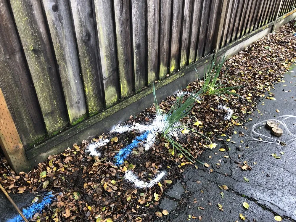 Top-rated water heater service experts serving Milpitas, CA - C Cruz Sub-Surface Locators