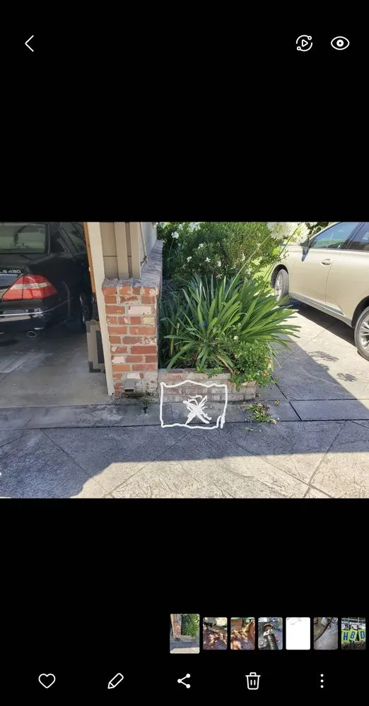 Expert pipe repair for homes in Milpitas, CA by C Cruz Sub-Surface Locators