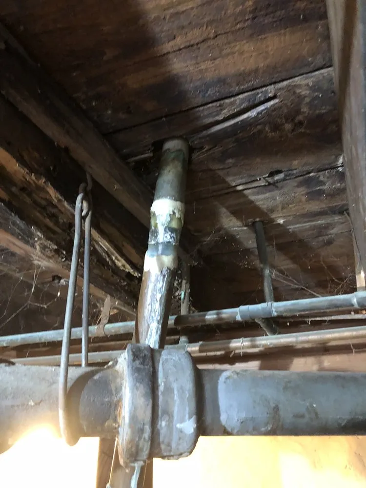 Slide of C H Jonasson